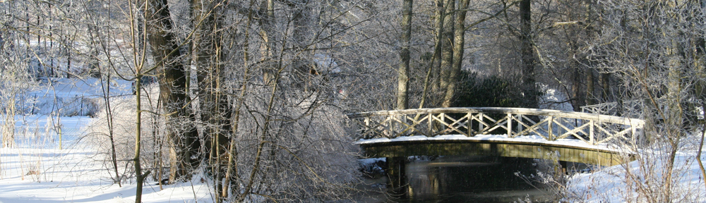 evalution – tankar och ting –